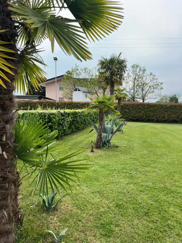 Giardino dell'Agriturismo Al Buttasella con palme a Lavariano di Mortegliano (UD).