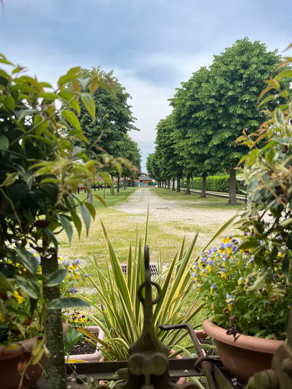 Giardino dell'Agriturismo Al Buttasella con vista sull'ampio parcheggio privato a Lavariano di Mortegliano (UD).